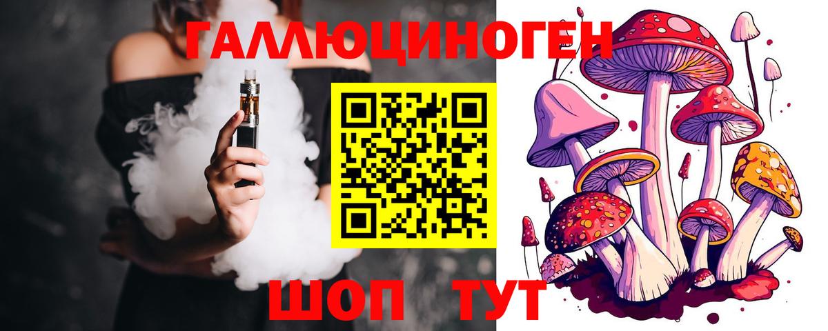 Галлюциногенные грибы Psilocybine cubensis Великий Устюг